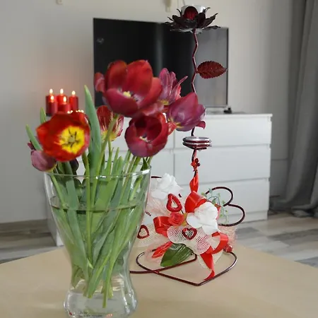 Apartman Cozy Apartments, Close To Park And Airport